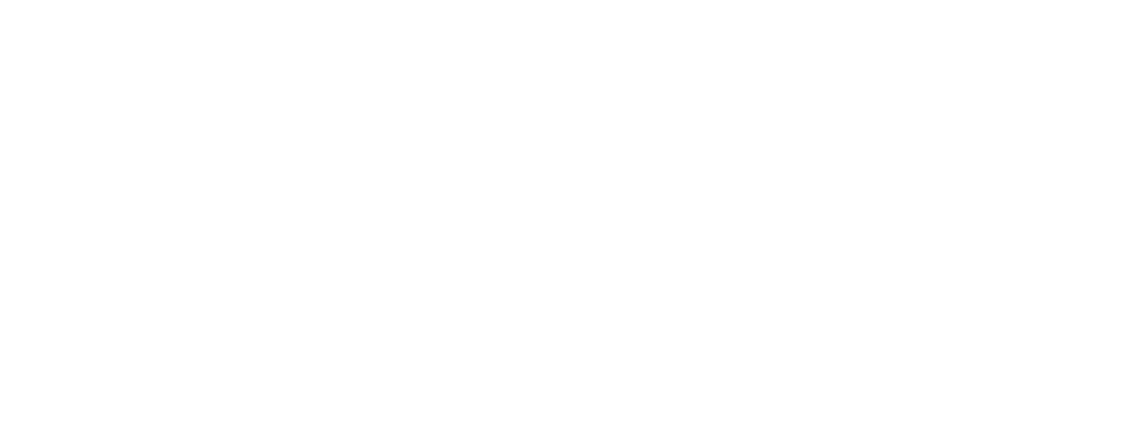 Logo Texte White